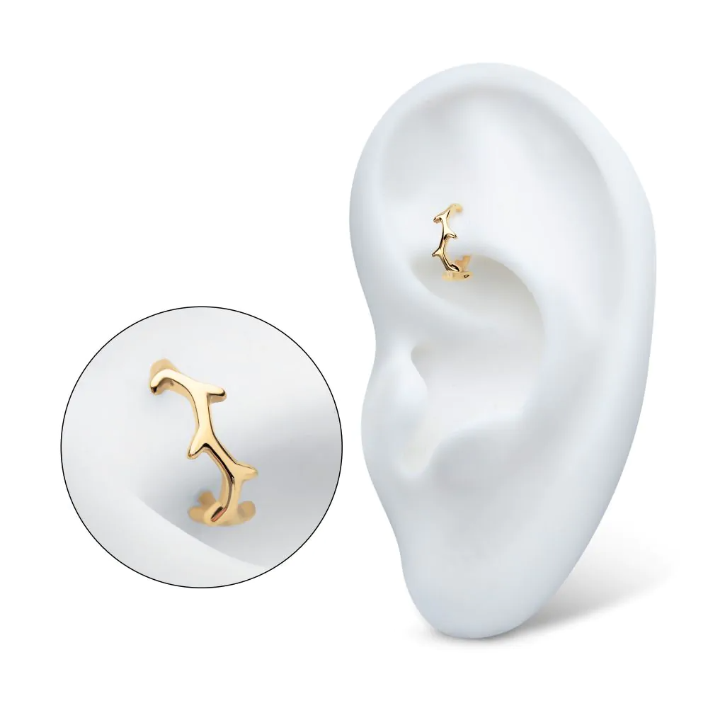 A 14k yellow gold clicker hoop with a thorn-like design, shown on display in the rook piercing of a model ear.